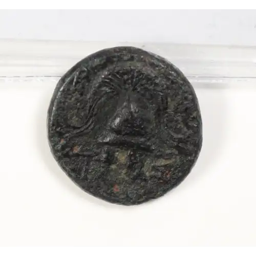 Ancient Greek Coin (2)