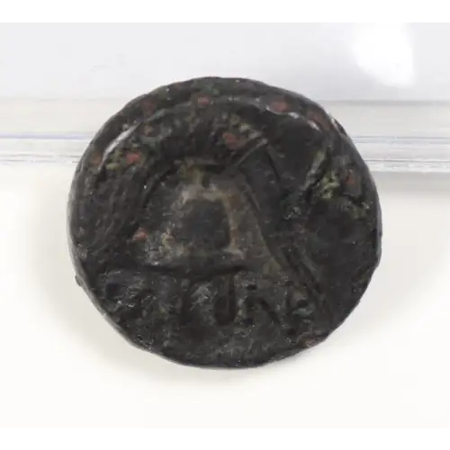 Ancient Greek Coin (2)