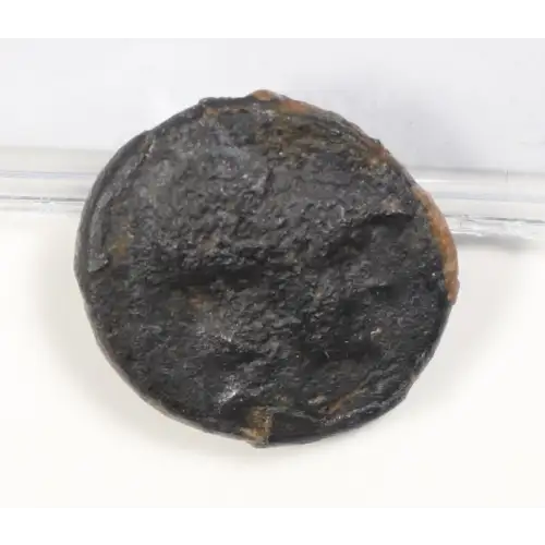 Ancient Greek Coin