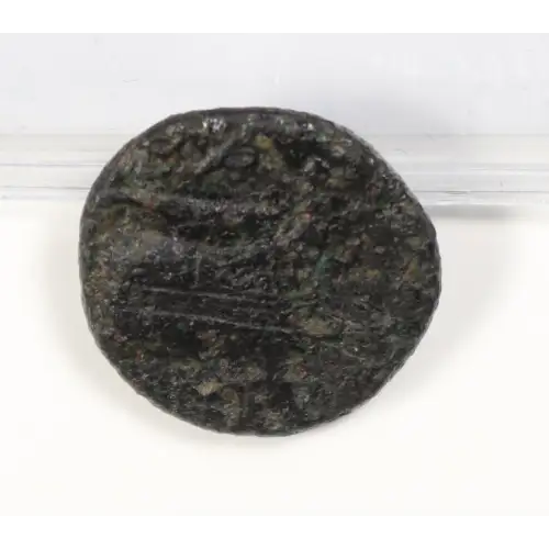 Ancient Greek Coin (2)