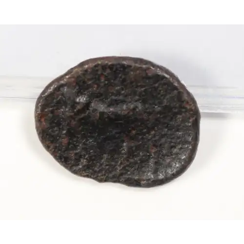Ancient Greek Coin (2)