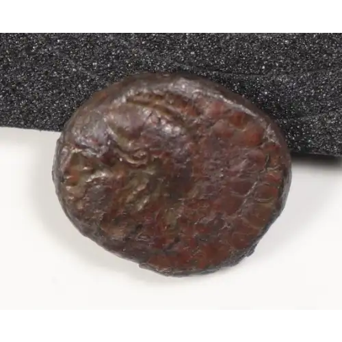 Ancient Greek Coin (2)