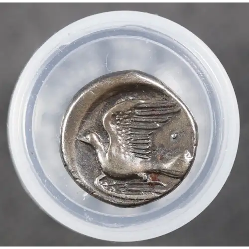 Ancient Greek Coin (2)