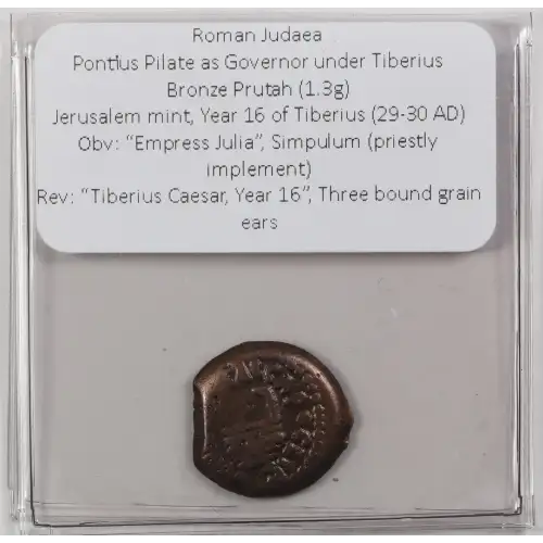 Ancient Greek Coin (3)