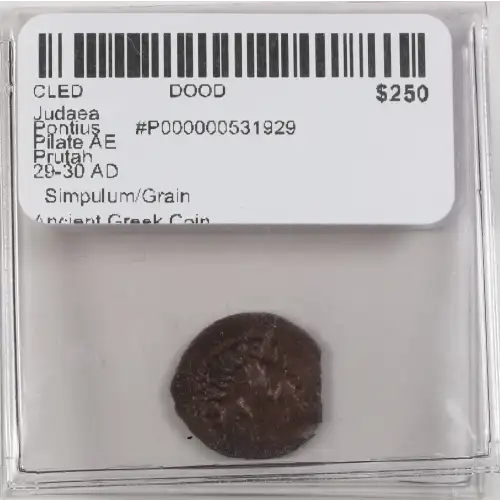 Ancient Greek Coin (4)