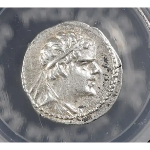 Ancient Greek Coin (2)