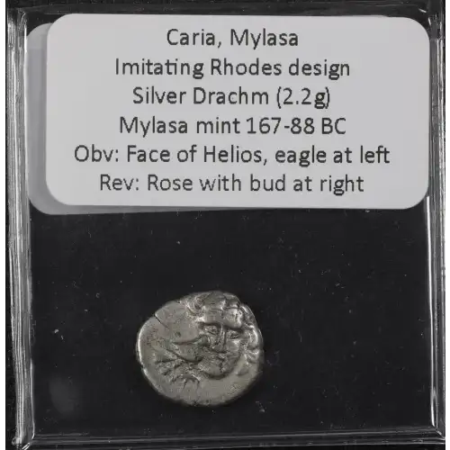Ancient Greek Coin (3)