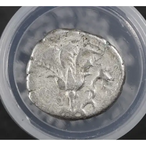 Ancient Greek Coin