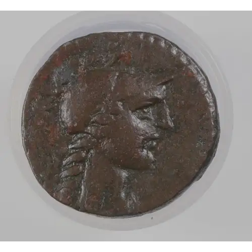 Ancient Greek Coin (2)