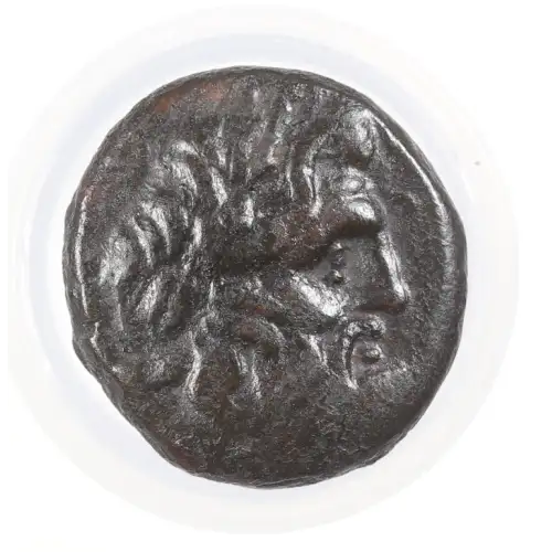 Ancient Greek Coin (2)