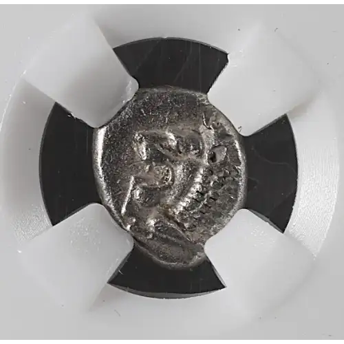Ancient Greek Coin (2)