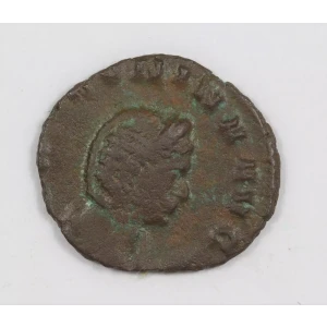 Ancient Roman Coin