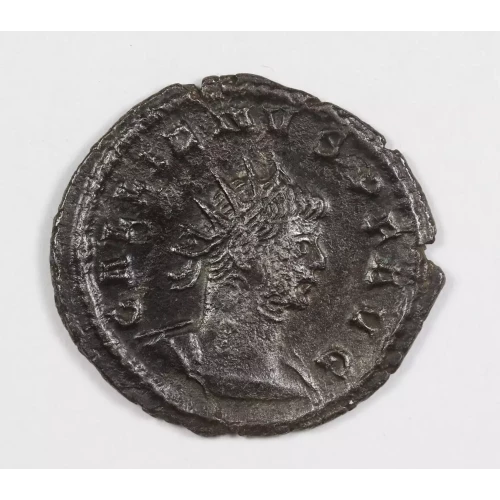 Ancient Roman Coin