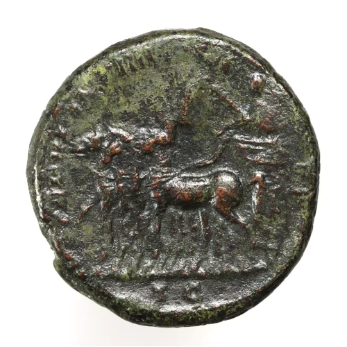 Ancient Roman Coin