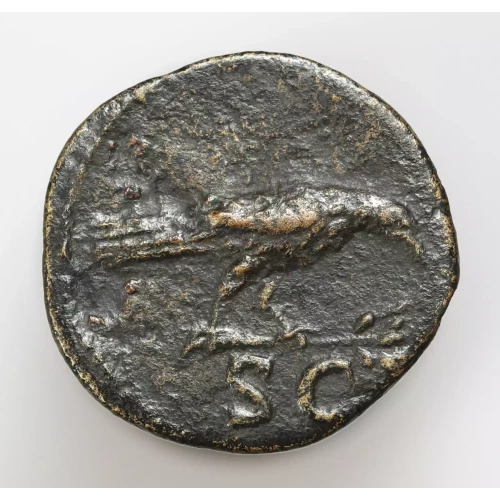 Ancient Roman Coin (3)