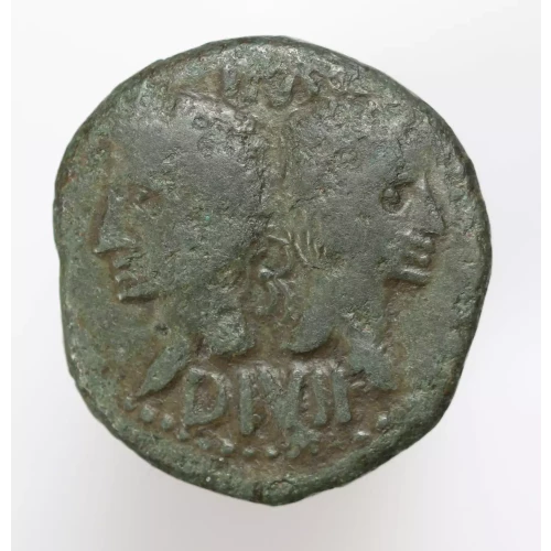 Ancient Roman Coin (2)