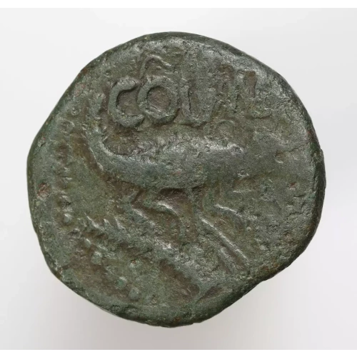 Ancient Roman Coin (3)