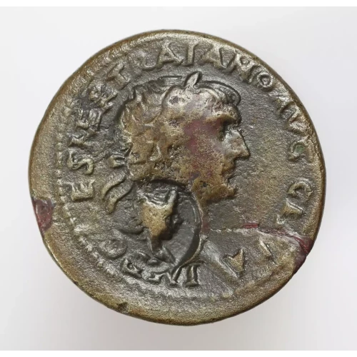 Ancient Roman Coin (3)