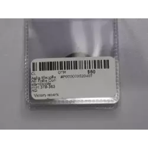 Ancient Roman Coin (3)