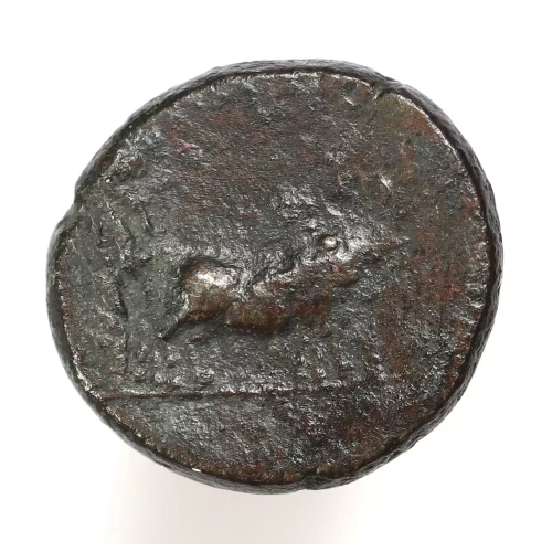 Ancient Roman Coin (3)