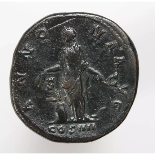 Ancient Roman Coin (3)