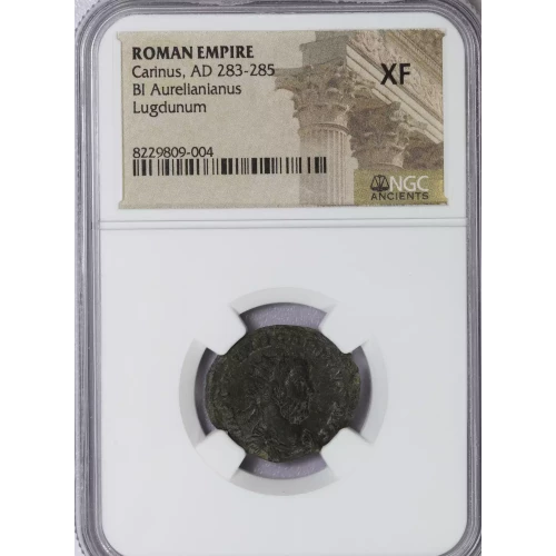 Ancient Roman Coin (4)