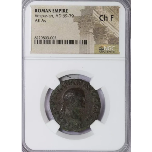 Ancient Roman Coin (3)