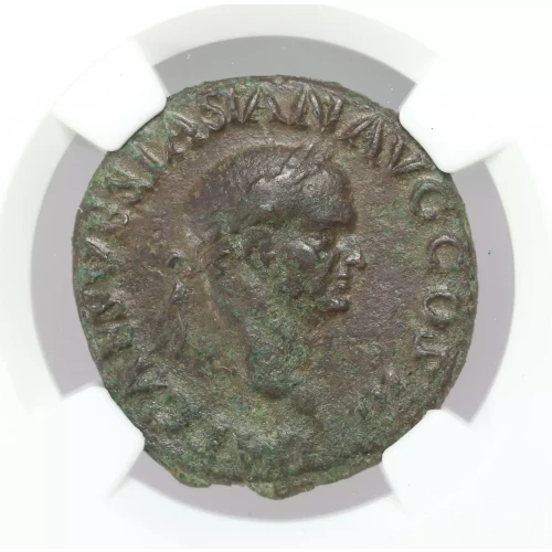 Ancient Roman Coin