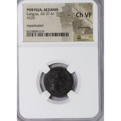 Ancient Roman Coin (3)