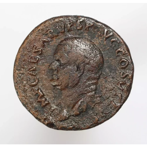 Ancient Roman Coin