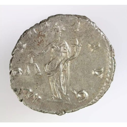 Ancient Roman Coin (3)