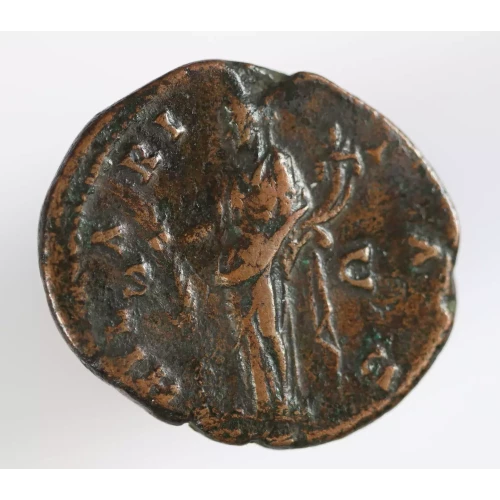 Ancient Roman Coin (2)