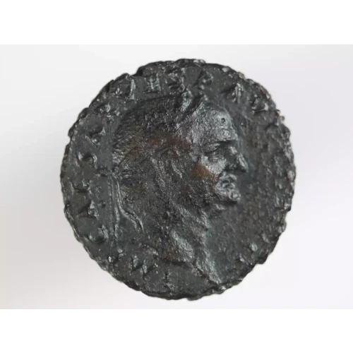 Ancient Roman Coin