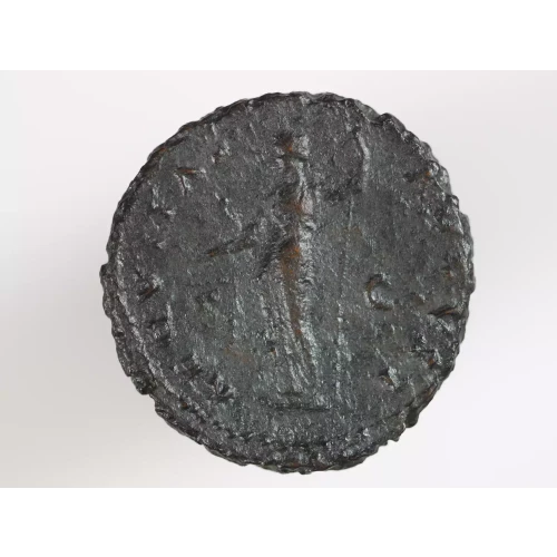 Ancient Roman Coin (3)