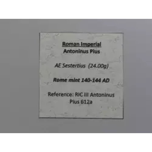 Ancient Roman Coin (4)