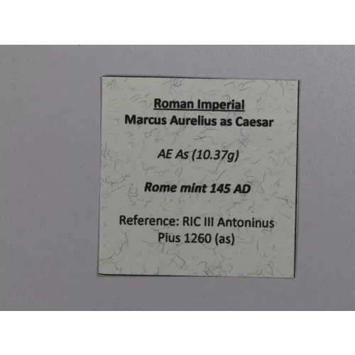 Ancient Roman Coin (4)