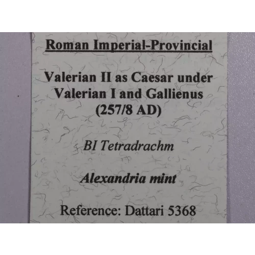 Ancient Roman Coin (5)