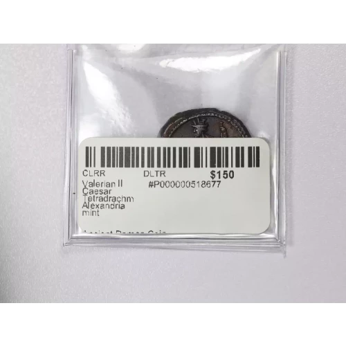 Ancient Roman Coin