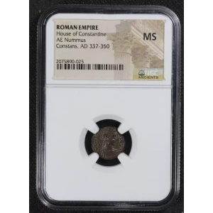 Ancient Roman Coin (2)