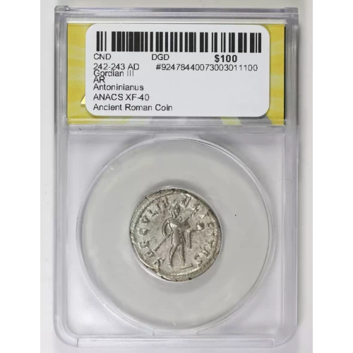 Ancient Roman Coin (2)