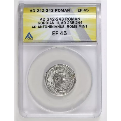 Ancient Roman Coin