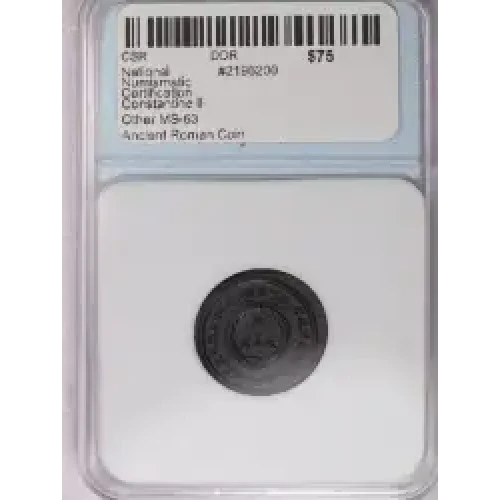 Ancient Roman Coin (2)