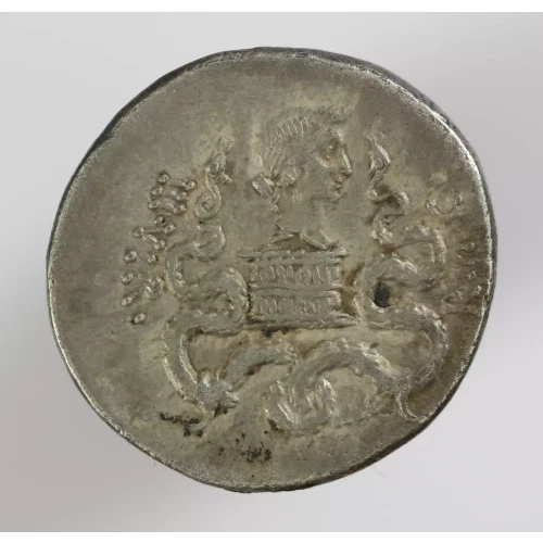 Ancient Roman Coin