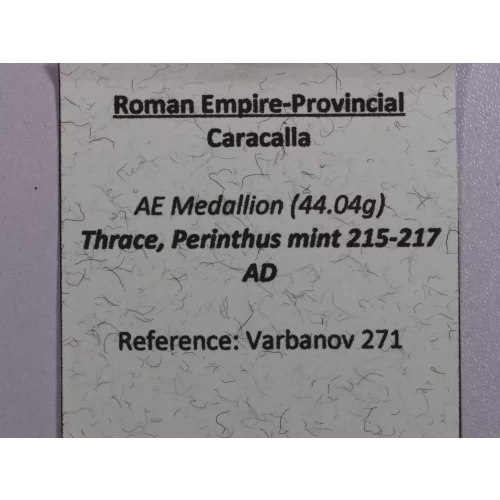 Ancient Roman Coin (3)