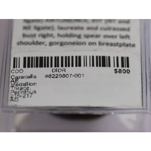 Ancient Roman Coin (5)