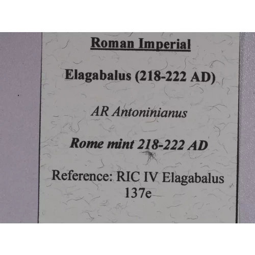 Ancient Roman Coin (4)