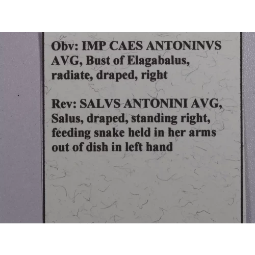 Ancient Roman Coin (5)