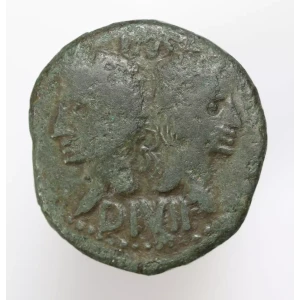Ancient Roman Coin (2)