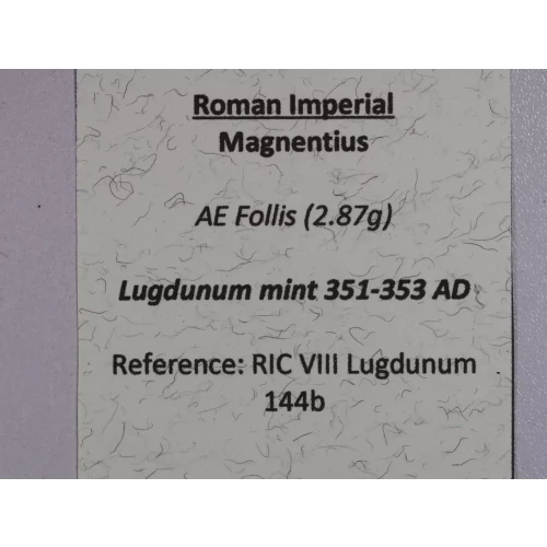 Ancient Roman Coin (4)
