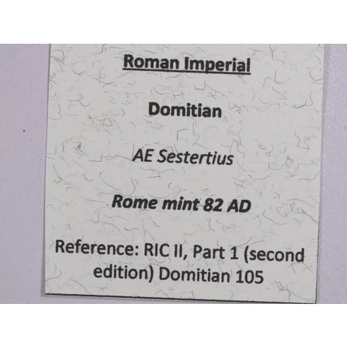 Ancient Roman Coin (4)